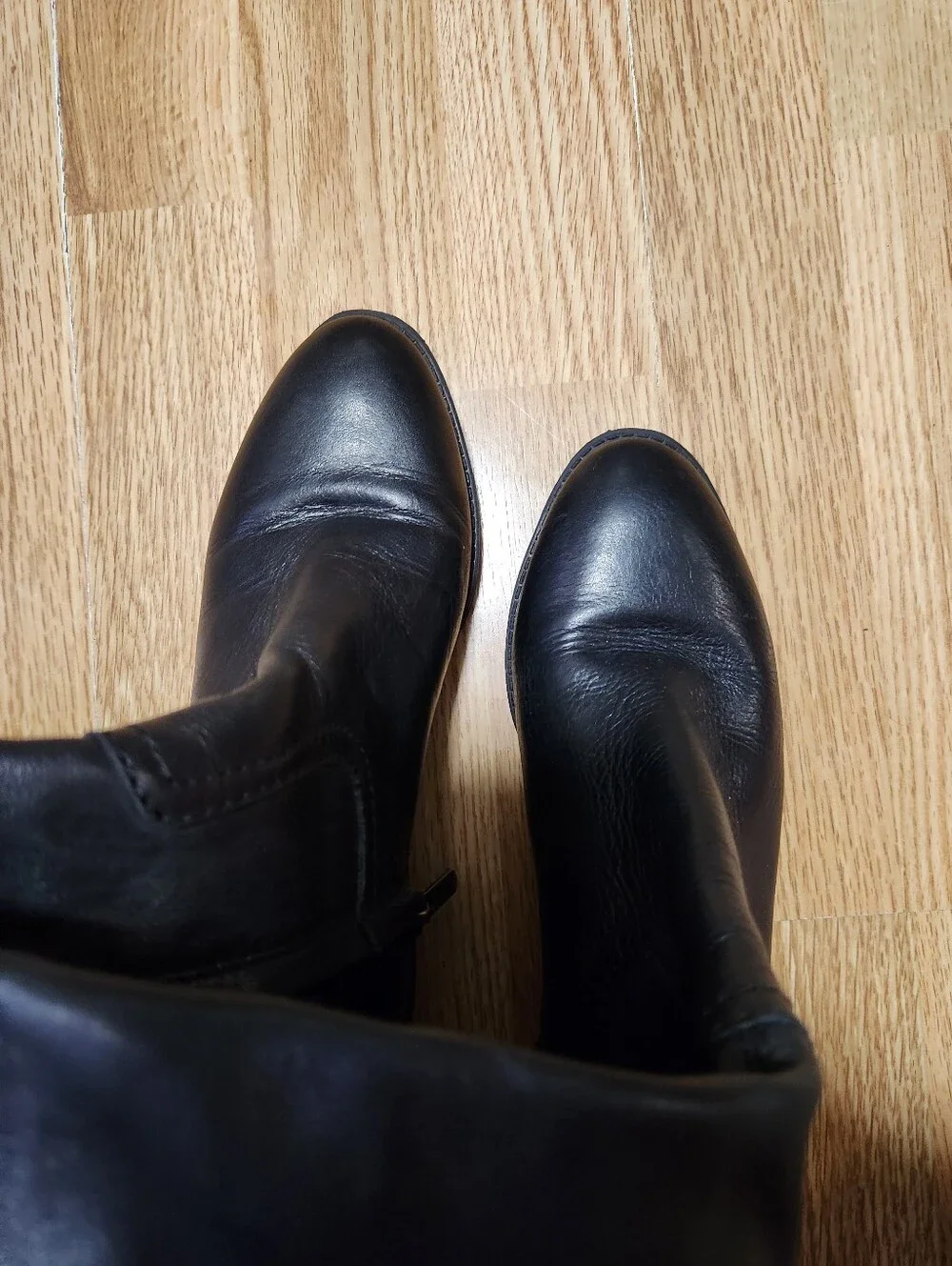 Sam edelman Boots